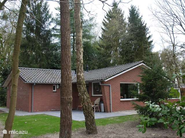 Vakantiehuis Nederland – bungalow De IJsvogel