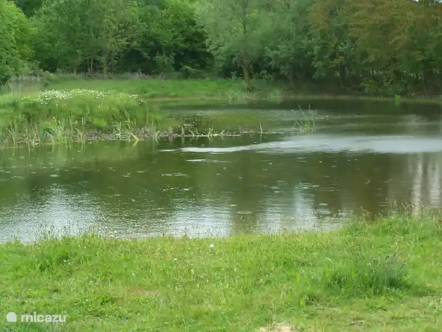 Le Martin-pêcheur | Pays-Bas, Gueldre, Winterswijk - bungalow Proximité immédiate du bungalow