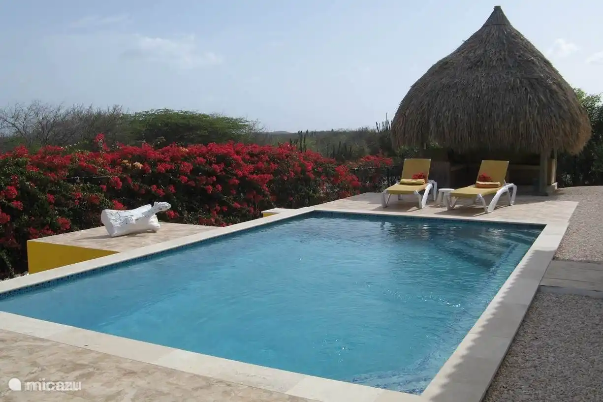Vue de la terrasse et du salon.
