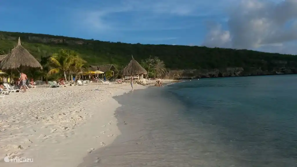 Quelques restes de diverses plages = Cas Abou