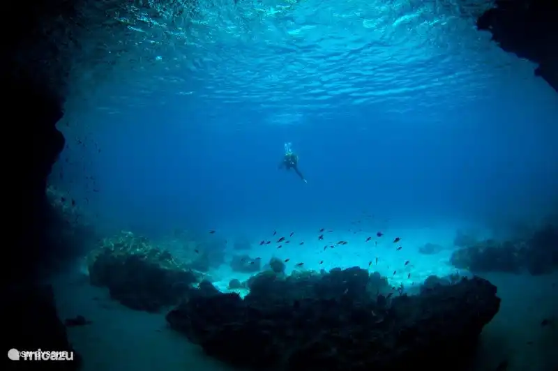 La chambre bleue de Curaçao est un must see absolu lorsque vous êtes à Curaçao. Cette belle grotte, également appelée grotte de la forêt aux champignons ou la salle bleue, peut être atteinte de deux manières. Vous pouvez choisir entre une promenade d'environ 25 minutes à travers le kunuku ou avec le bateau-taxi du capitaine Goodlife.