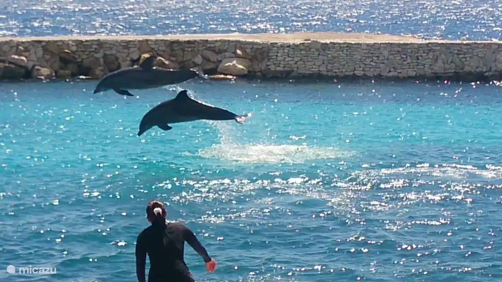 Il vaut la peine de s'arrêter à l'aquarium marin.