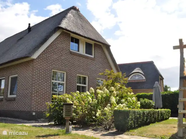 Villa avec sauna et bain à remous | Pays-Bas, Drenthe, Tenthveen - villa Villa avec sauna et bain à remous | Pays-Bas, Drenthe, Tenthveen - villa