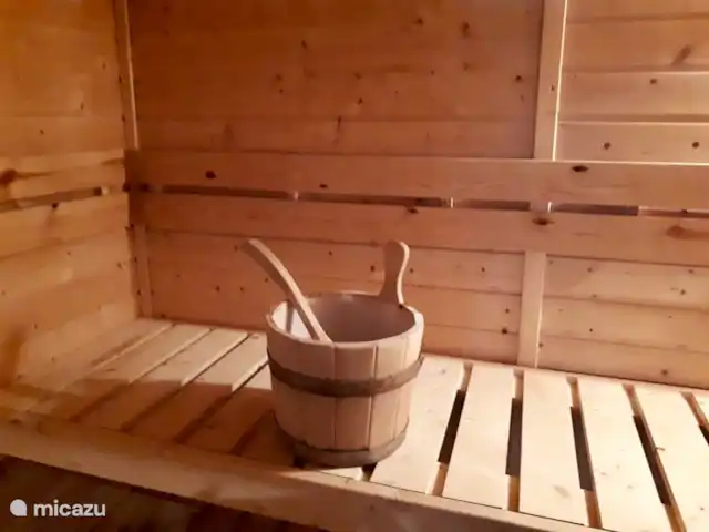 Villa avec sauna et bain à remous | Pays-Bas, Drenthe, Tenthveen - villa sauna