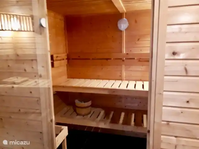 Villa avec sauna et bain à remous | Pays-Bas, Drenthe, Tenthveen - villa sauna