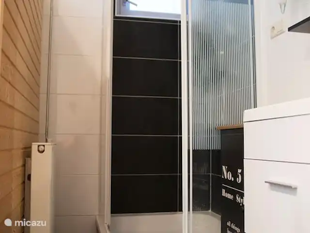 Villa avec sauna et bain à remous | Pays-Bas, Drenthe, Tenthveen - villa douche sous-sol