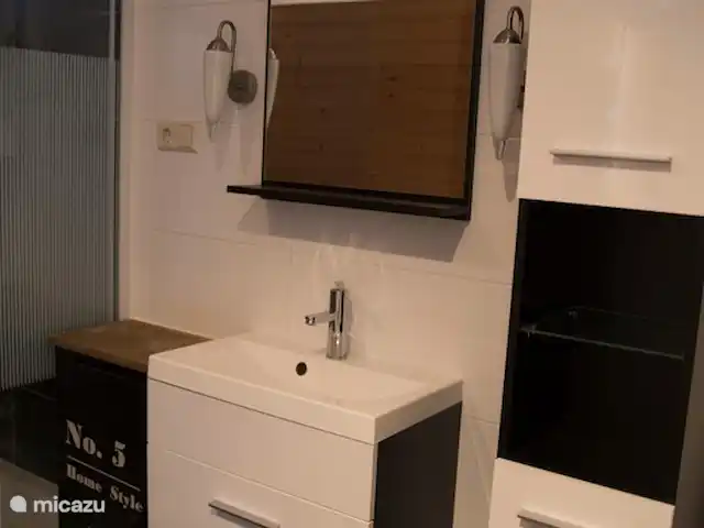 Villa avec sauna et bain à remous | Pays-Bas, Drenthe, Tenthveen - villa salle de bain sous-sol
