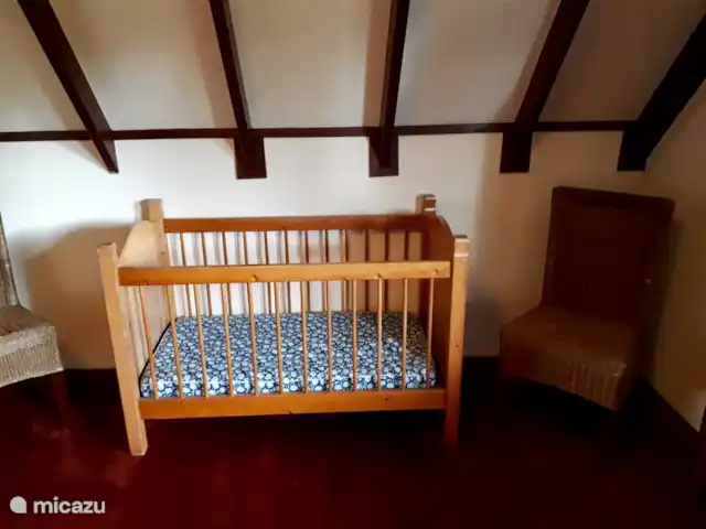 Villa avec sauna et bain à remous | Pays-Bas, Drenthe, Tenthveen - villa Lit bébé dans la 2ème chambre