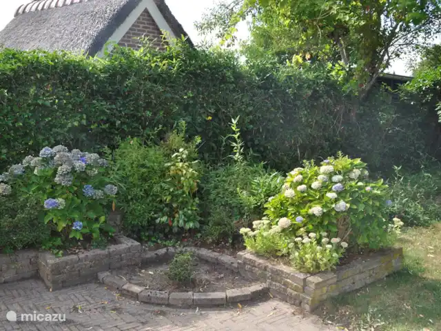 Villa avec sauna et bain à remous | Pays-Bas, Drenthe, Tenthveen - villa jardin