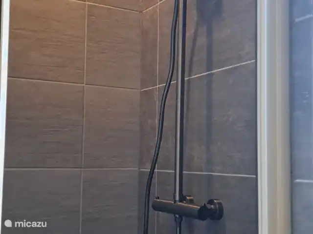 Villa avec sauna et bain à remous | Pays-Bas, Drenthe, Tenthveen - villa douche au rez-de-chaussée