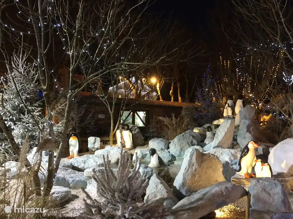 Pinguine in St. Tropez?