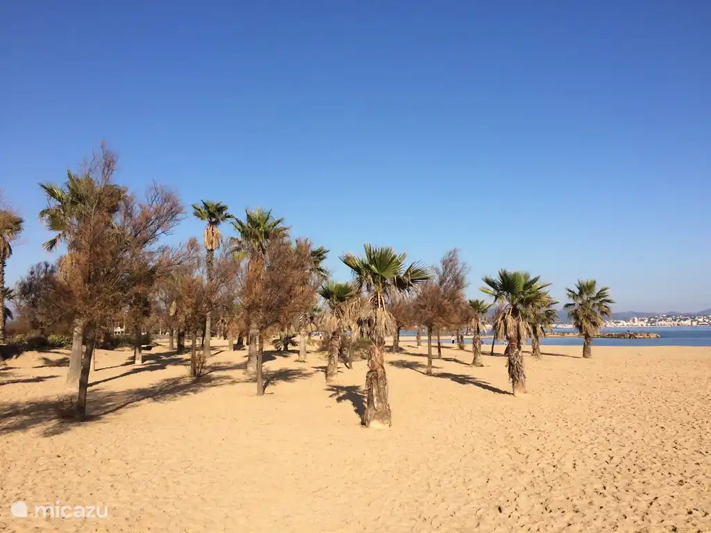 Strand in Frejus