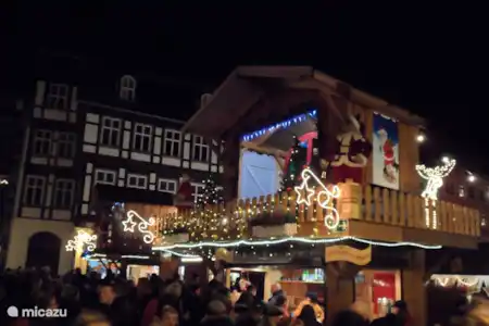 Vakantiehuis Duitsland, Harz, Quedlinburg stadswoning Vrijstaand huis in Quedlinburg r