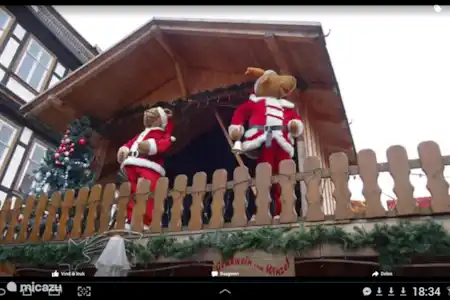 Vakantiehuis Duitsland, Harz, Quedlinburg stadswoning Vrijstaand huis in Quedlinburg H