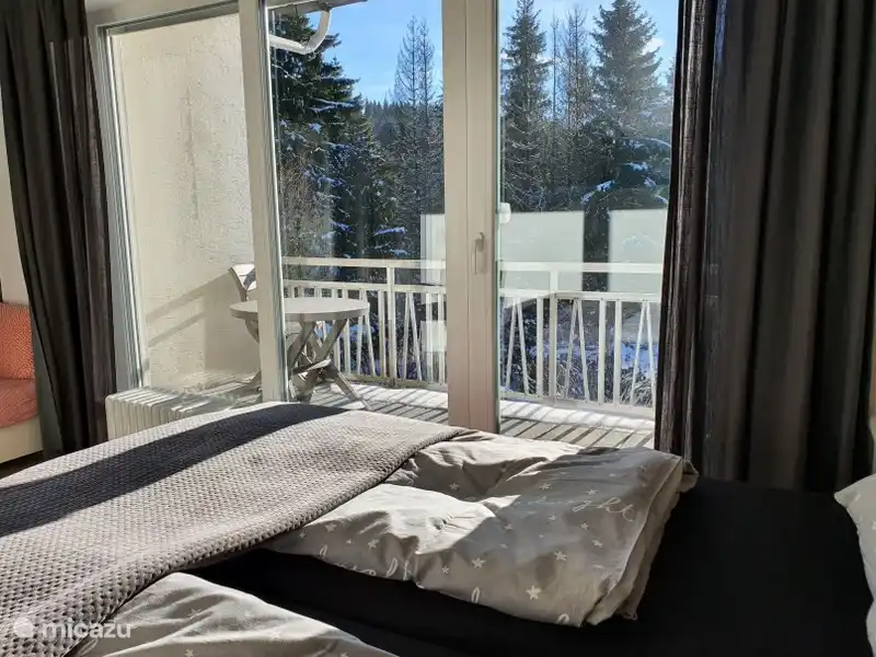 Bedroom with balcony