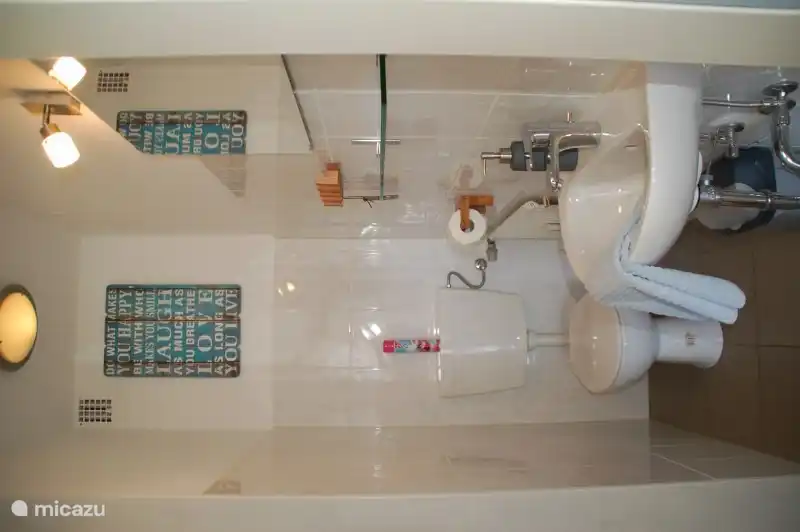 Bathroom with shower, toilet and washbasin