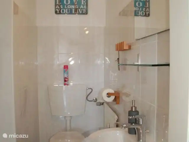 Appartement Warstein | Allemagne, Sauerland, Winterberg - appartement Salle de bain avec douche, WC et lavabo et long placard de rangement avec miroir