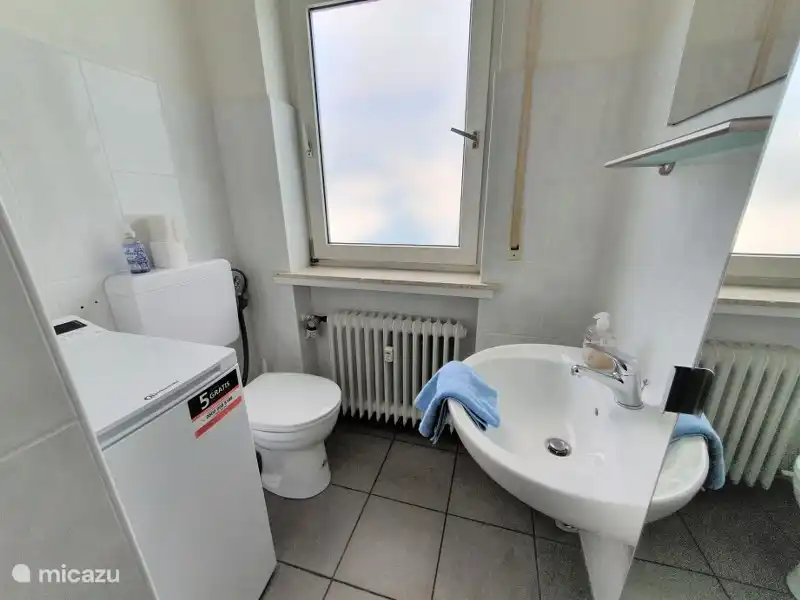 Bathroom with shower, toilet and sink, washing machine and long storage cupboard with mirror.