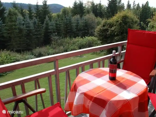 Appartement Warstein | Allemagne, Sauerland, Winterberg - appartement Vue depuis votre balcon