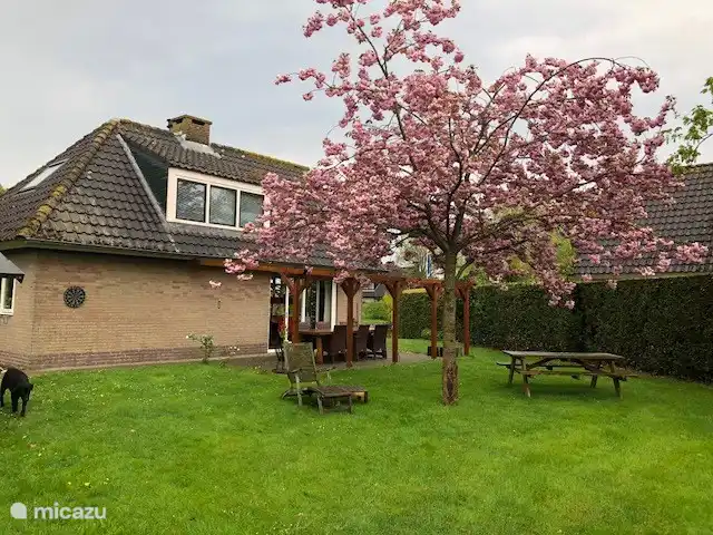 Volop zon in de middag en avond