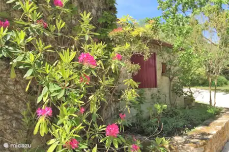 Vakantiehuis Frankrijk, Lot, Calès - villa Morgane -