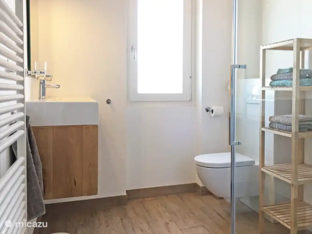 Badkamer met regendouche