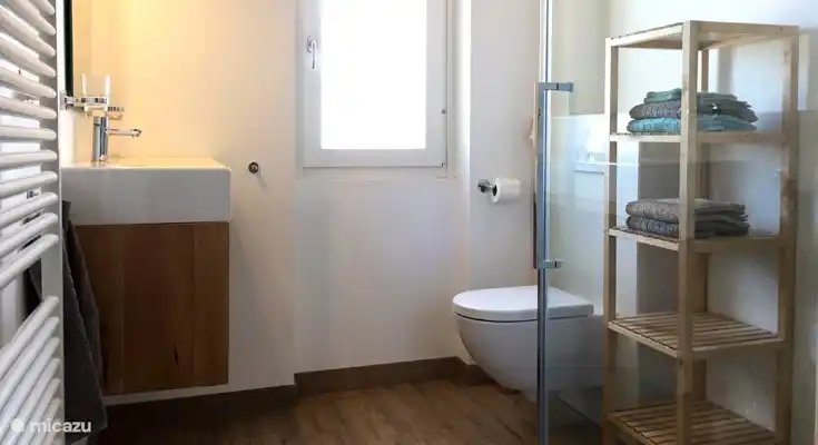 Salle de bain avec douche pluie