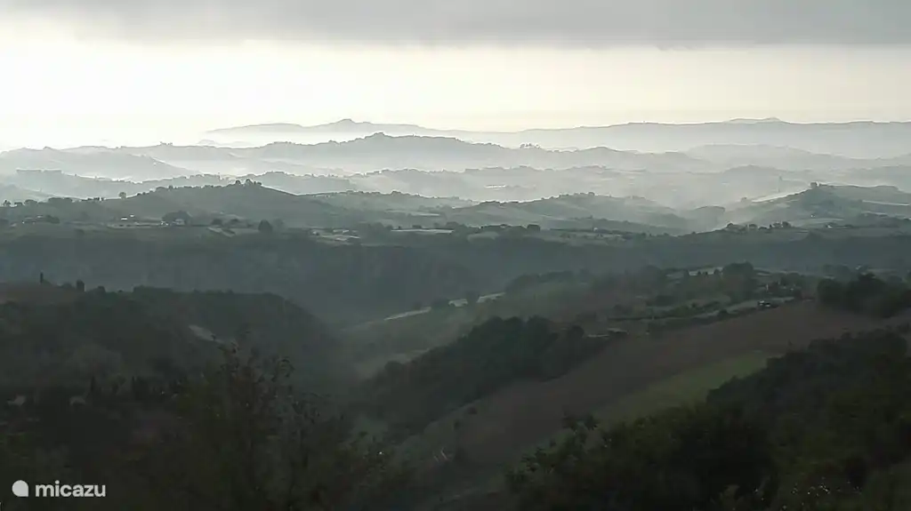 Brume matinale en 2016