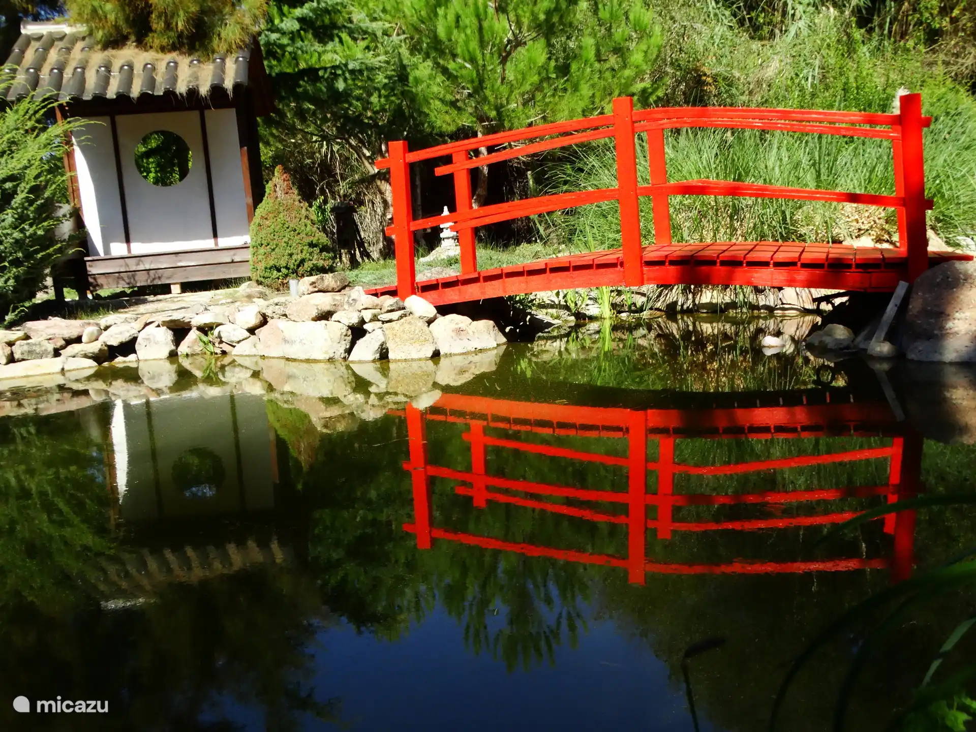 Teich im japanischen Garten