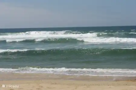 Vakantiehuis Frankrijk, Landes, Saint-Julien-en-Born vakantiehuis Village Océlandes woning bij strand h