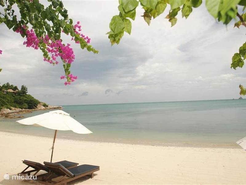 Ferienwohnung Thailand, Ko Samui, Koh Samui Villa Villa am Strand