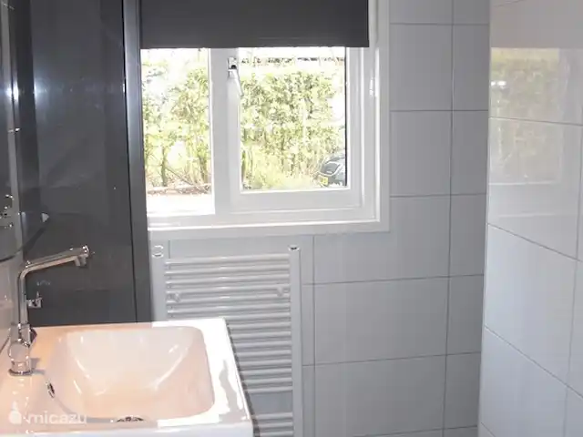 LuxeVakantiebungalow Denekamp Twente huren in Nederland, Overijssel, Denekamp - bungalow Badkamer(wastafel)