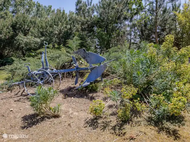 Tronquiere huren in Frankrijk, Dordogne, Lacropte - vakantiehuis Tuin