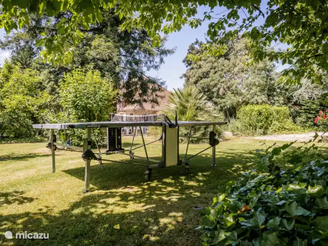 Tronquiere huren in Frankrijk, Dordogne, Lacropte - vakantiehuis Tafeltennistafel