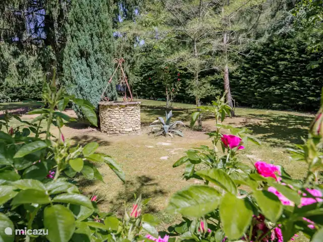 Tronquiere huren in Frankrijk, Dordogne, Lacropte - vakantiehuis Tuin