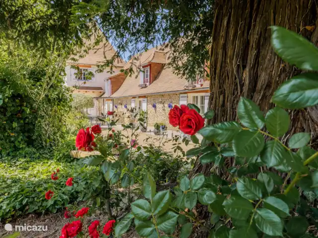 Tronquiere huren in Frankrijk, Dordogne, Lacropte - vakantiehuis Tuin