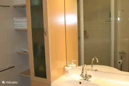 Vakantiehuis Nederland, Gelderland, Ermelo boerderij Veluwerijck 14 badkamer