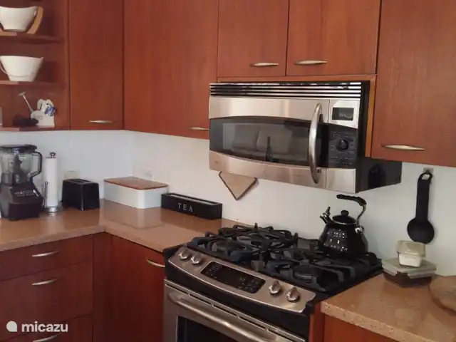 Lujosa villa con piscina privada en Aruba, Norte, Noord - villa cocina