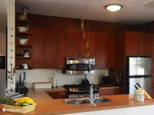 Lujosa villa con piscina privada en Aruba, Norte, Noord - villa cocina