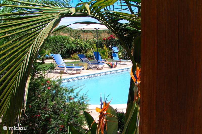Vacation rental Portugal, Algarve, Moncarapacho Holiday house Casa Jacaranda