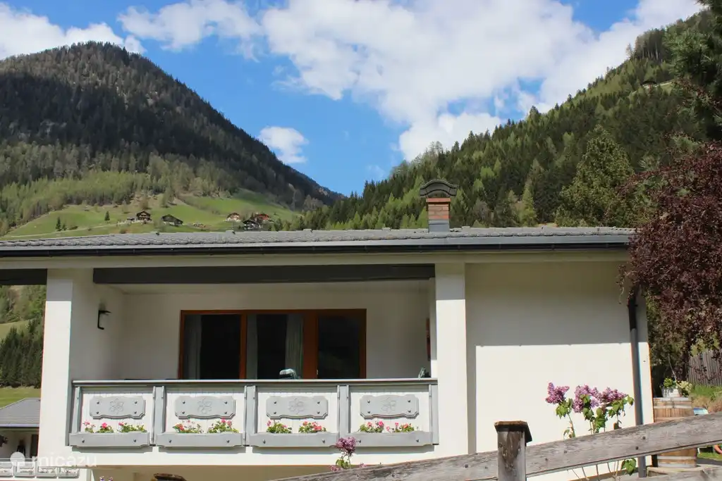 Zwei Tannen