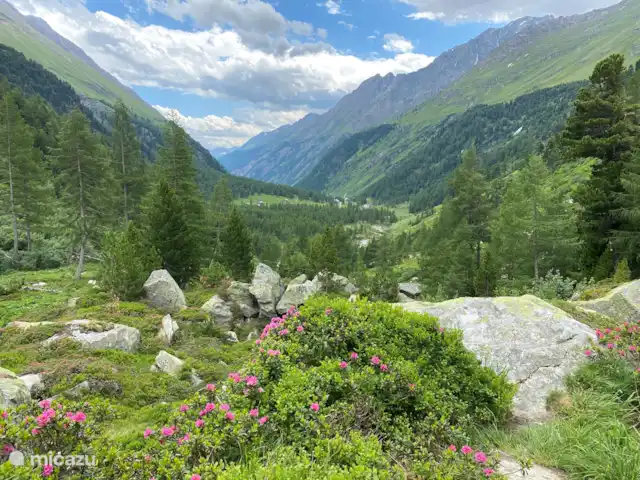 Zwei Tannen en Austria, Carintia, Grosskirchheim  - chalet Verano