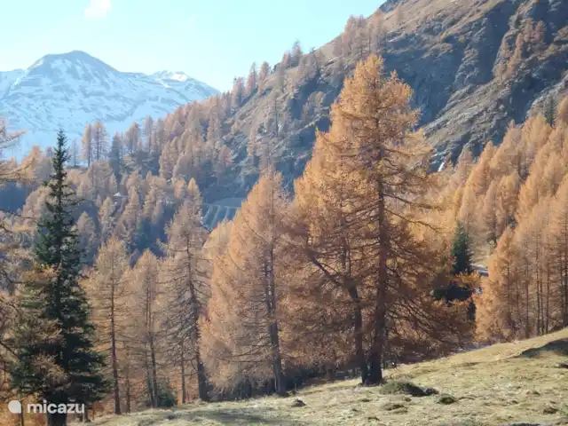 Zwei Tannen en Austria, Carintia, Grosskirchheim  - chalet Otoño