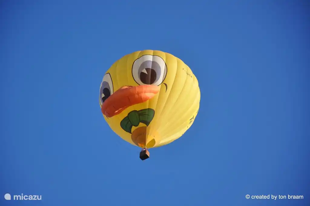 Dieser segelt auch regelmäßig übers Haus