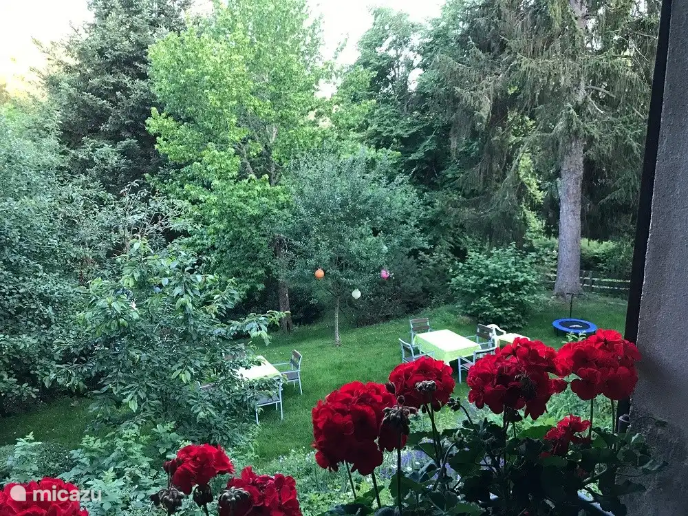 Schöne Aussicht auf den Waldgarten aus einem Schlafzimmer