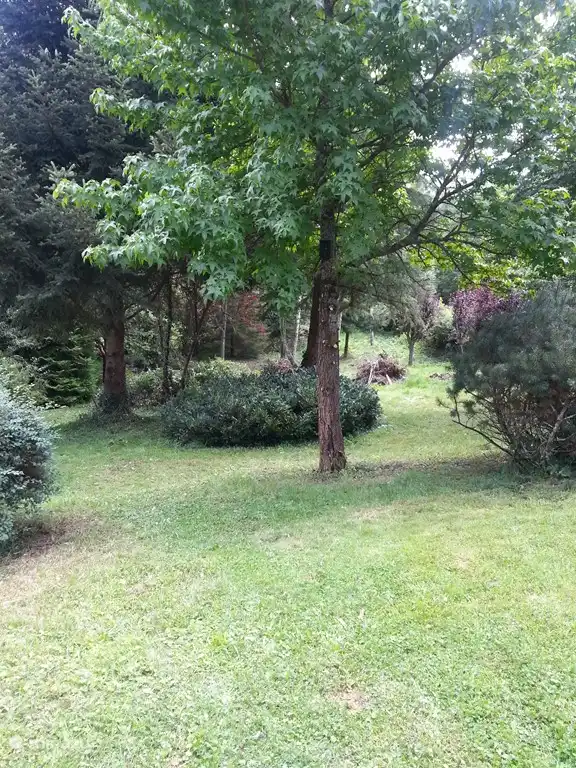 Anbei Waldgarten, ideal für Hunde!