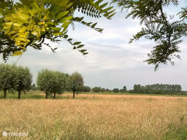 het Assenhoekje | Pays-Bas, Overijssel, Den Ham - maison de vacances