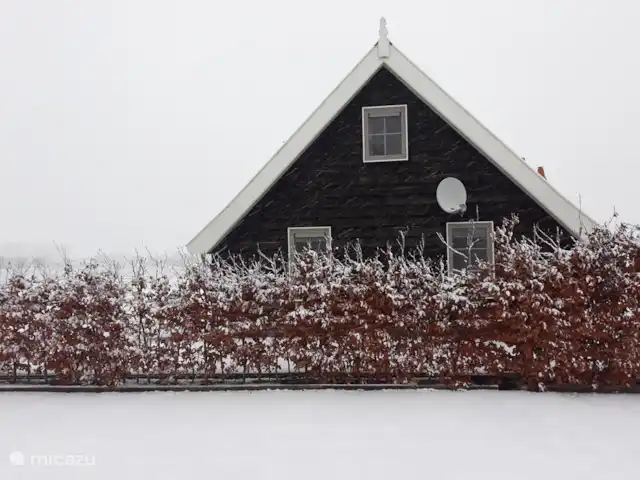 het Assenhoekje | Pays-Bas, Overijssel, Den Ham - maison de vacances Photos d'hiver