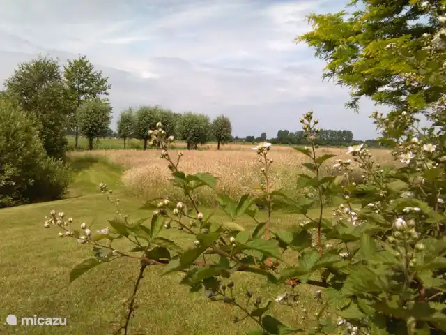 het Assenhoekje | Pays-Bas, Overijssel, Den Ham - maison de vacances