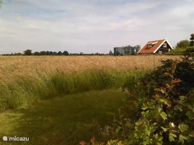 het Assenhoekje | Pays-Bas, Overijssel, Den Ham - maison de vacances